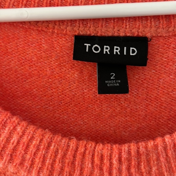 Torrid Raglan Pullover Sweater Tiger - Picture 3 of 8